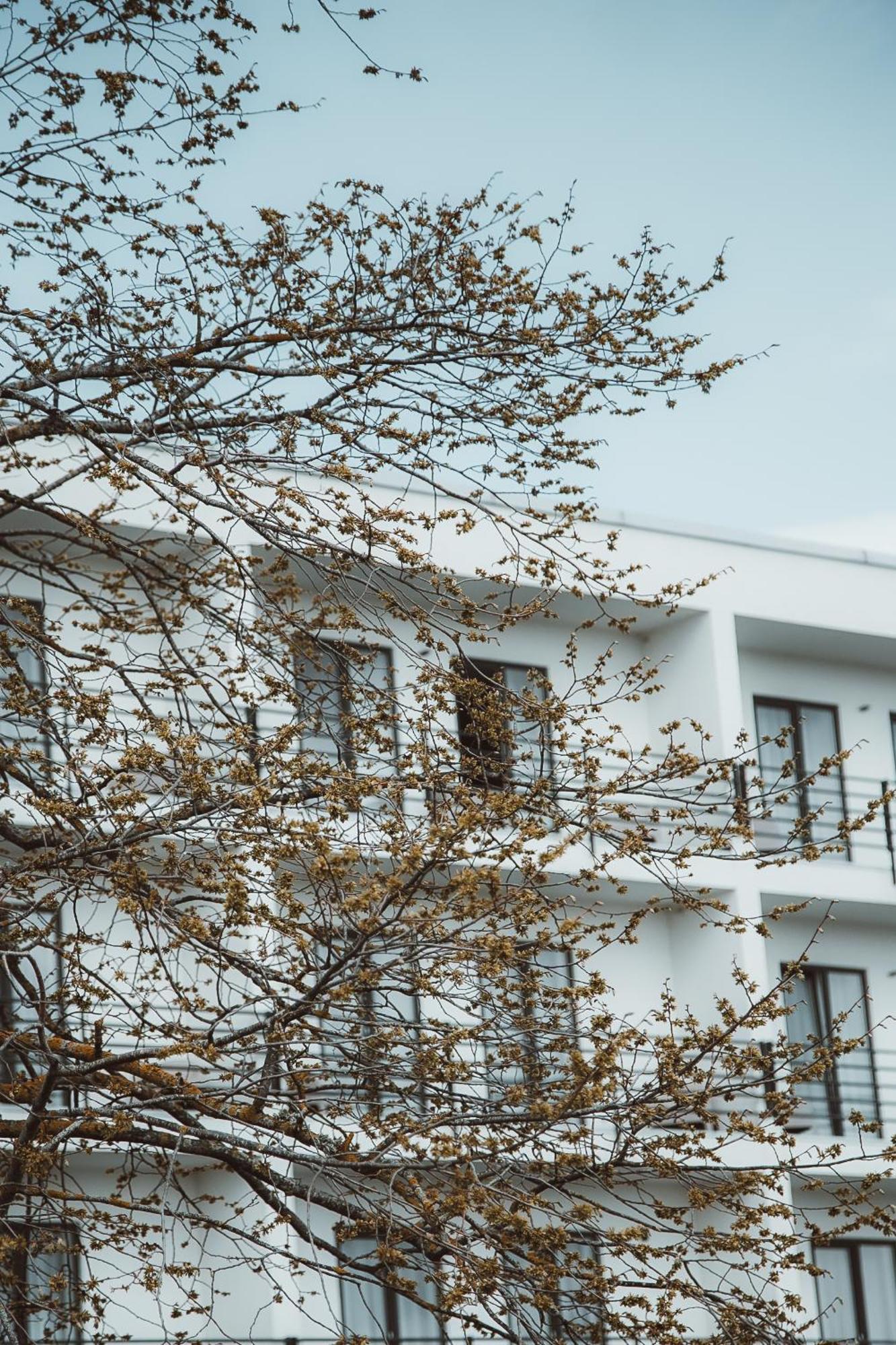 Oe Seaside Suites & Spa Курессааре Экстерьер фото